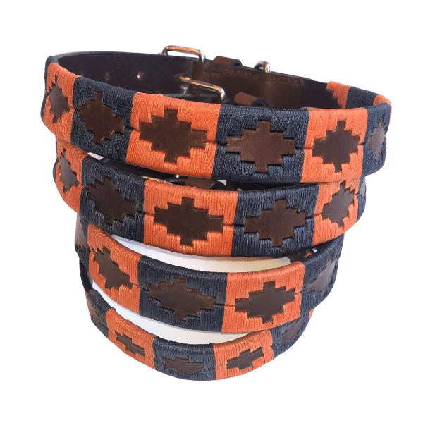 Hundehalsband 'Lively' - Grenzgaenger polo