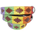 Hundehalsband 'Rainbow' - Grenzgaenger polo