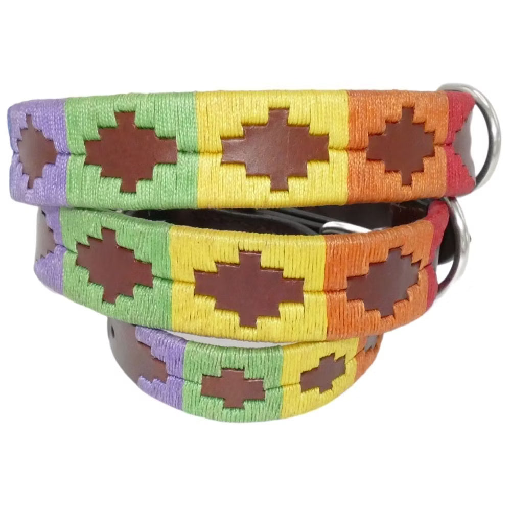 Hundehalsband 'Rainbow' - Grenzgaenger polo