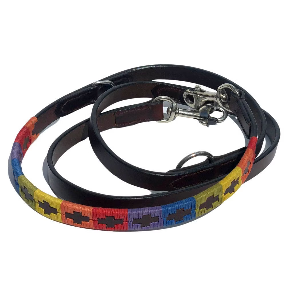 Hundeleine 'Rainbow' - Grenzgaenger polo